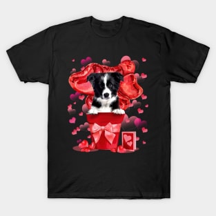 Border Collie Dog In Red Pot Happy Valentine's Day T-Shirt